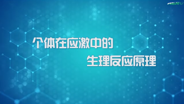 03.个体在应激中的生理反应原理