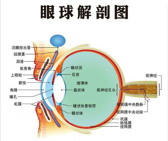 【六楼社区】保护视力 从我做起